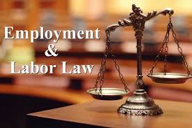 Employment and Labor Law
